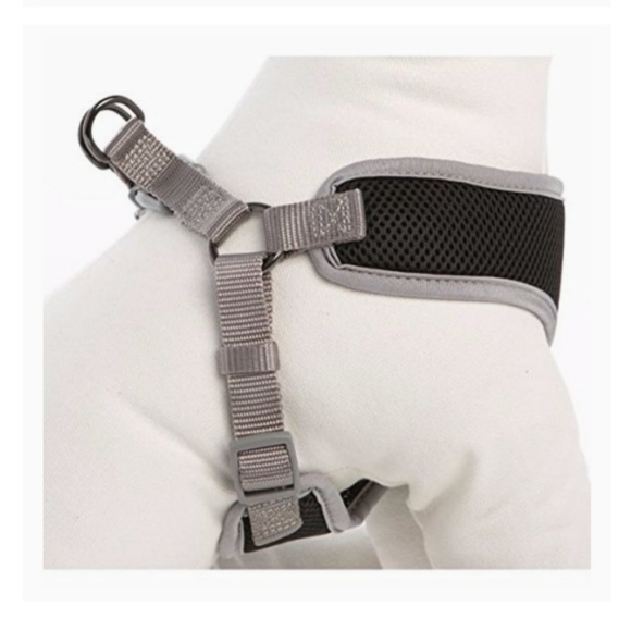 SOLD - Picture 4 of 7